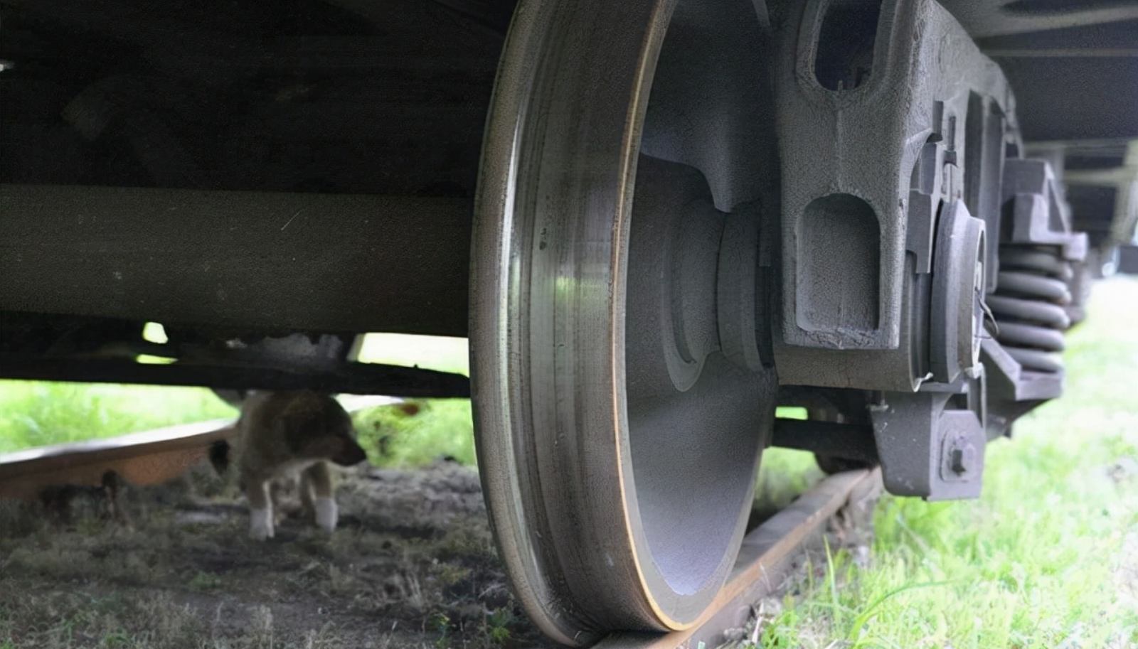 A anatomia das rodas do trem: componentes principais e medidas de proteção